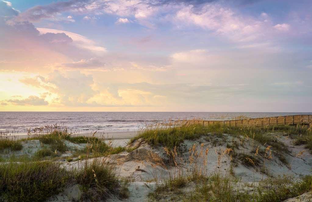 Jekyll Ocean Club Resort Остров Джекилл Природа фото