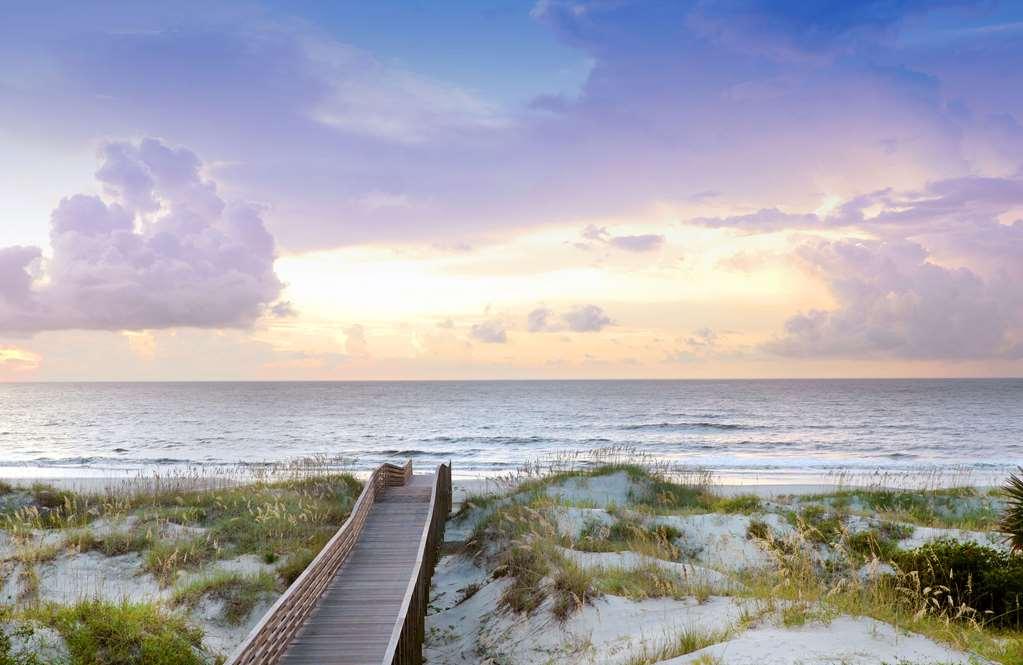 Jekyll Ocean Club Resort Остров Джекилл Природа фото